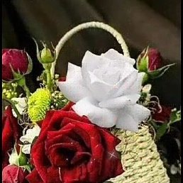 ������, ������, 36 ���