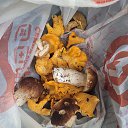���� ������, ������ - ��������� 23 ���� 2023 � ������ ������