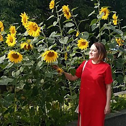 ���������, ������, 50 ���