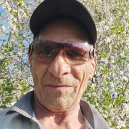 ���������, ������, 66 ���