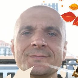 , , 49 