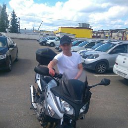 ����, ������, 37 ���