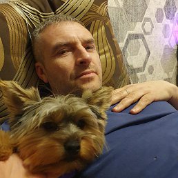 �����, ��������, 47 ���