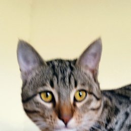 ���� �����, ������, 67 ��� - ��������� 16 ������� 2023