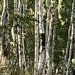 ������, ������������, 57 ���