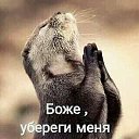 ���� ������, ������-��-����, 37 ��� - ��������� 17 �������� 2023 � ������ ���� ����������