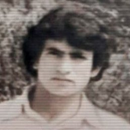 Bahid, ����, 37 ���