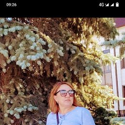 �������, ������, 46 ���