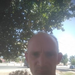 ���� ������� ��������, ������, 37 ���