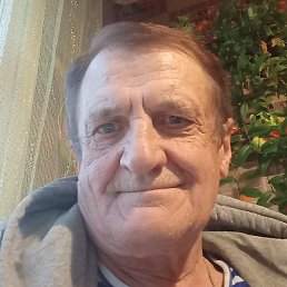 ������, �����, 65 ���