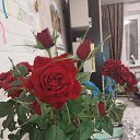 ���� �������, ����, 70 ��� - ��������� 28 �������� 2023