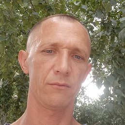 ��������, ������, 43 ����