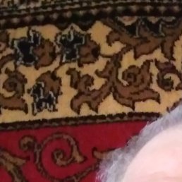 ����, ������, 66 ���