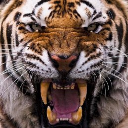 ���� �����, ������, 38 ��� - ��������� 21 ������� 2023