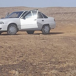 Timur, ������, 41 ���