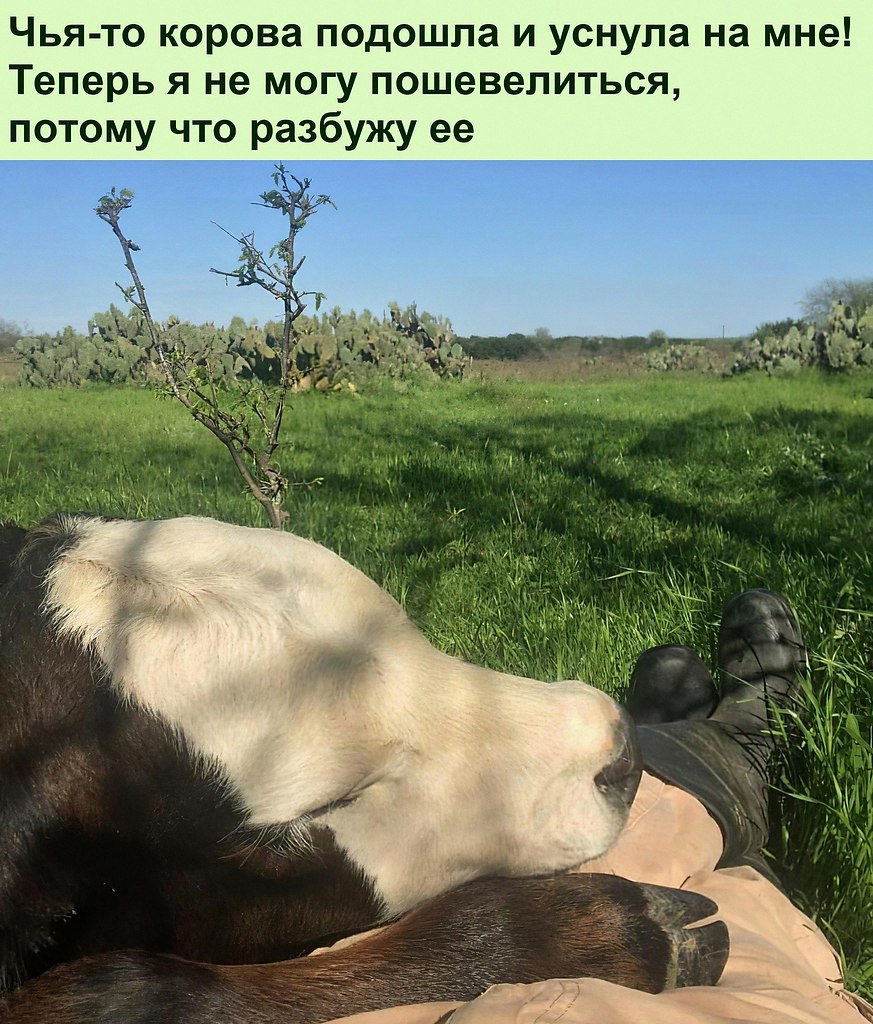      .     ,    ...