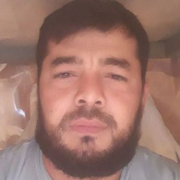Javlonbek, �����, 36 ���