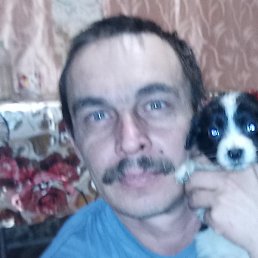 ������, ������, 43 ����