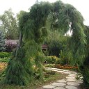 ���� ���������, �������, 65 ��� - ��������� 27 ����� 2023 � ������ ���� ����������