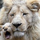 ���� Mirkomil, ������, 38 ��� - ��������� 3 ������ 2023