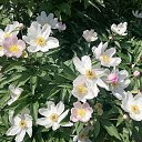 ���� ��������, ������������, 44 ���� - ��������� 25 ���� 2023