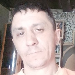 ������, �����������, 43 ����