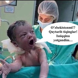 ������, �������, 38 ���