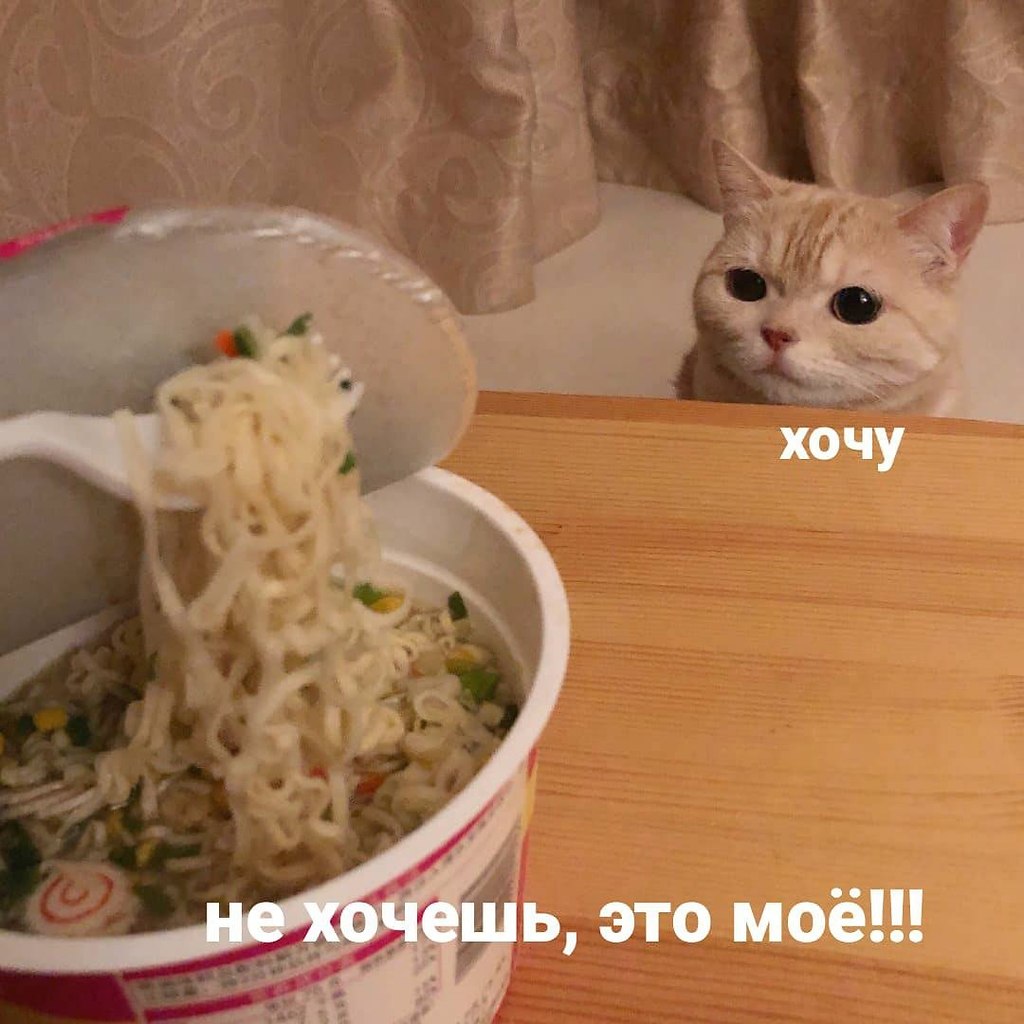    - 1  2023  11:40