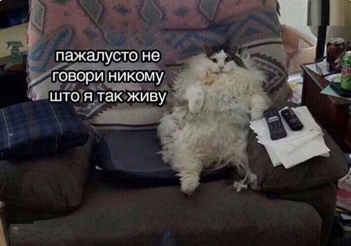        ,  ,    :