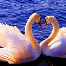 �����, �����, 50 ���