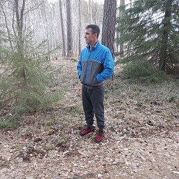 ��, ������, 37 ���