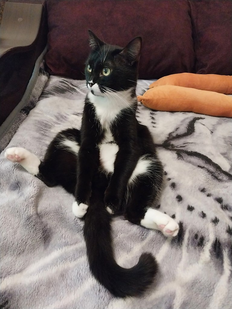 !)