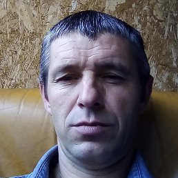 ��������, �������, 48 ���