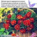 ���� �����, ����� - ��������� 3 ���� 2023 � ������ ������ ��������