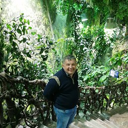 ���� ��������, ��������, 56 ��� - ��������� 27 ��� 2023