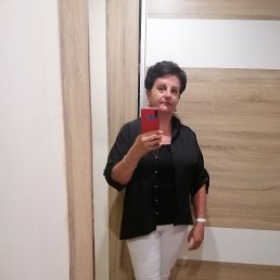 ���� ��������, ���������, 54 ���� - ��������� 22 ������� 2023