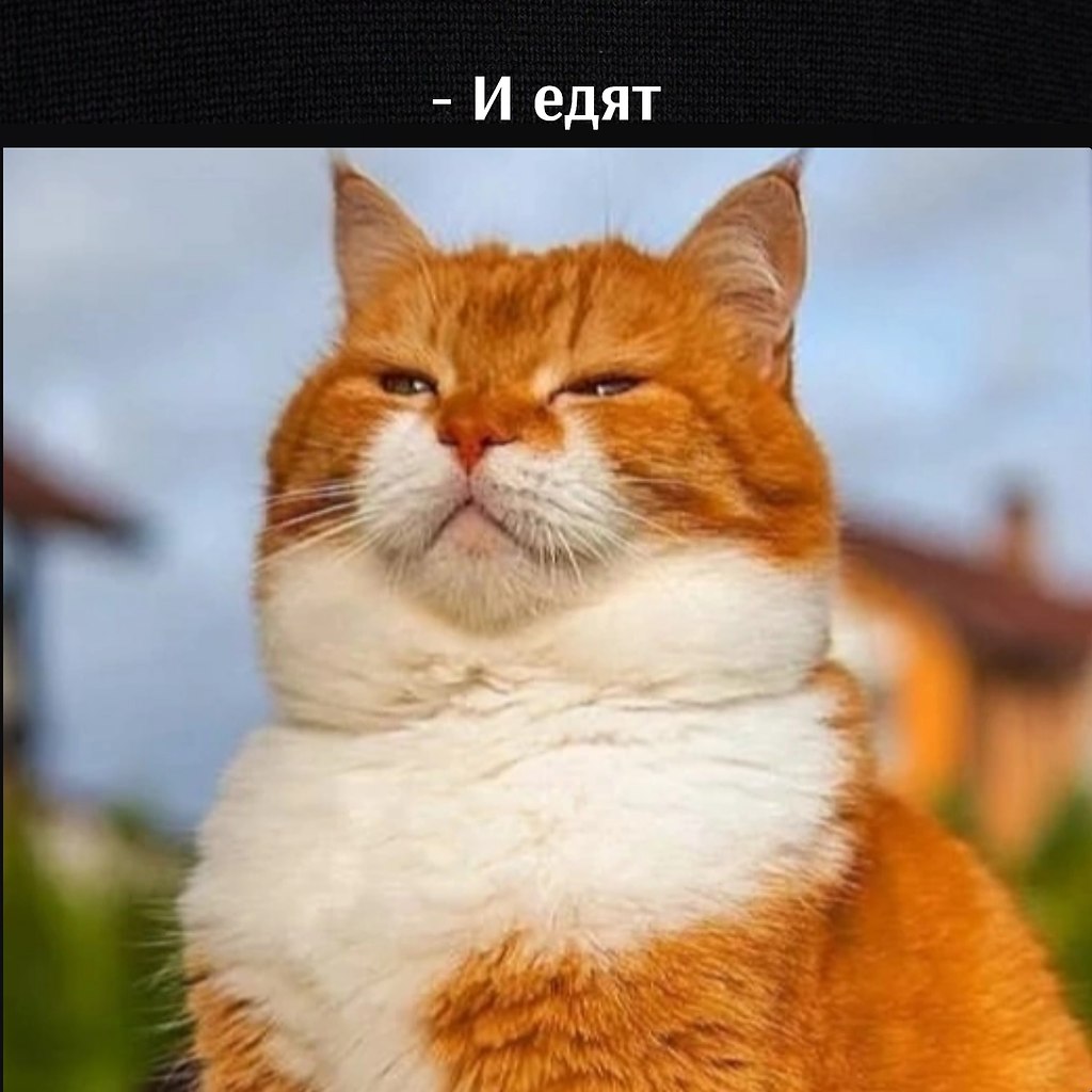       - 22  2023  17:14 - 4