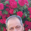 ���� �������, ����, 62 ���� - ��������� 1 ���� 2023 � ������ ���� ����������