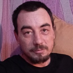 ���������, �������, 48 ���