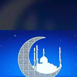 �����, ������, 44 ����