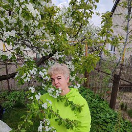 �����, �����, 55 ���