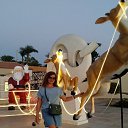 ���� �������, ������� - ��������� 13 ������ 2023 � ������ ���� ����������