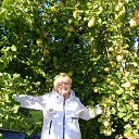 ���� ����, �������, 64 ���� - ��������� 31 ������� 2023 � ������ ���� ����������