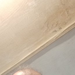 ���������, ���������, 51 ���