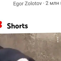 �����, ������, 46 ���