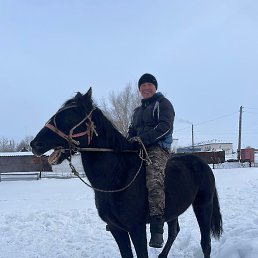 �����, ������, 35 ���