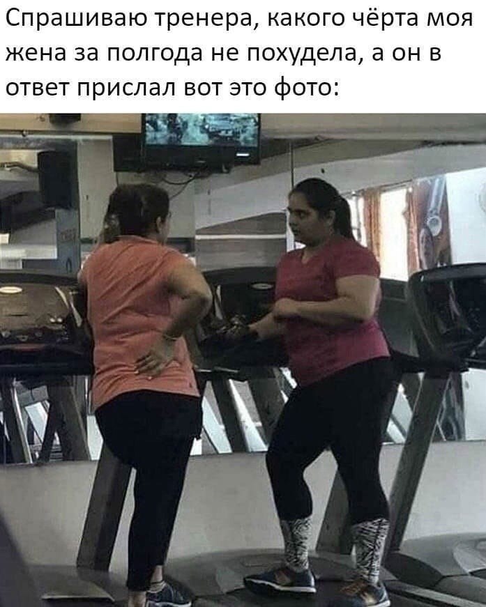     - 13  2023  11:21
