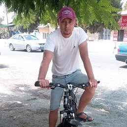 �����, �������, 33 ����