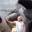 ���� ����, �����������, 56 ��� - ��������� 10 ������� 2023 � ������ ���� ����������