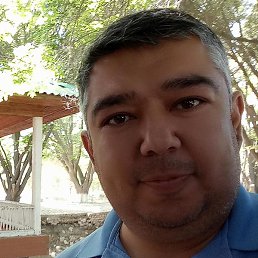 ����, �����, 41 ���